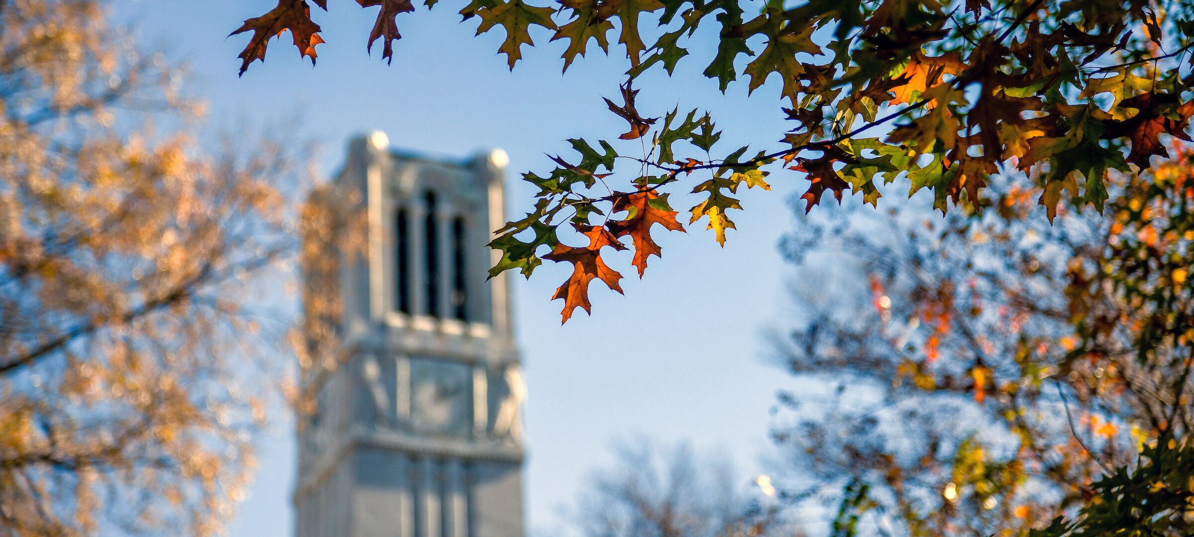 The Belltower provides a backdrop for colorful fall leaves.